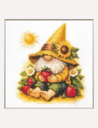 A1043 Sunshine Gnome Aine Cross Stitch Kit with Aida fabric