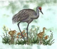 Sandhills  (Crossed Wing Collection)