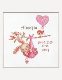 A1029 Girl Birth Sampler Aine Cross Stitch Kit with Aida fabric