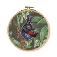 DMC Parakeet cross stitch kit