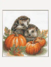 A1021 Hedgehogs in the Harvest Aine Cross Stitch Kit with Aida fabric