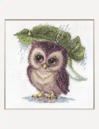 A1023 Raindrop Owl Aine Cross Stitch Kit with Aida fabric