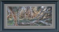 Designs on Request Australian Bush 1 Cross Stitch Chart Hard Copy