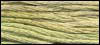 Classic Colorworks 6 Stranded Cotton CCT-074 Tomatillo