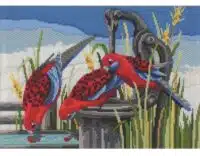 Country Threads Longstitch Kit CRIMSON ROSELLAS FLS-1025 25x34.5cm