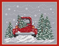 Sue Hillis - Bringing Home The Tree