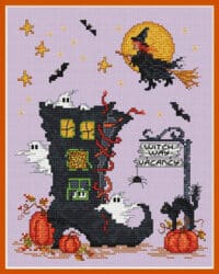 Sue Hillis - Homecoming