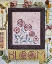 Hello from Liz Mathews - Blooming Quakers