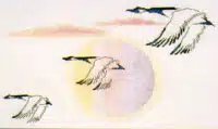 Xs And Ohs - Flight Of Three