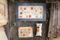 Madame Chantilly - Pumpkins Collection