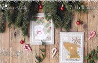 Madame Chantilly - Reindeer And Bunnie