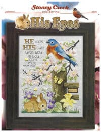 Stoney Creek Collection - His Eyes