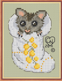 Possum in Sock