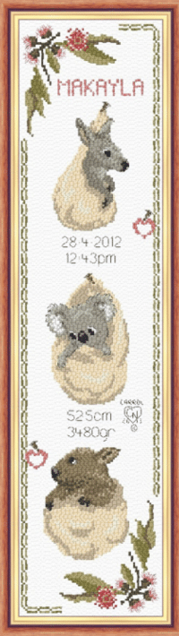 Pouch Babies Birth Sampler