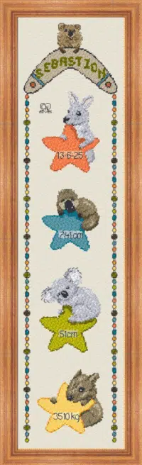 479. Aussie Stars Birth Sampler