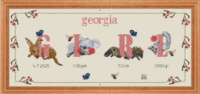 488. Girl Birth Sampler Carrols Cross Stitch