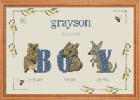 487. Boy Birth Sampler Carrols Cross Stitch
