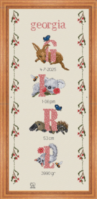 486. Girl Birth Sampler Carrols Cross Stitch