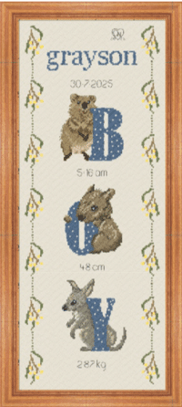 485. Boy Birth Sampler Carrols Cross Stitch