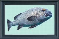 Designs on Request Sweetlips 1 Cross Stitch Chart Hard Copy