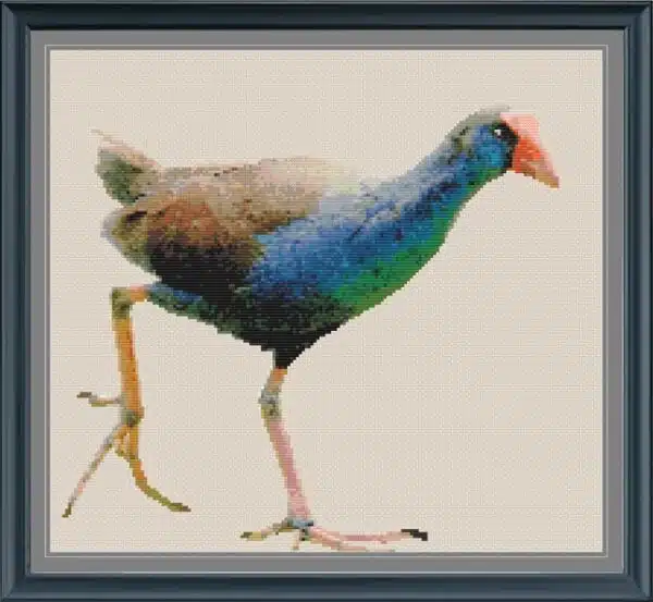 Western Swamphen - 1 Cross Stitch Chart