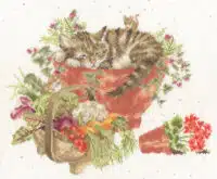 Bothy Threads XHD149 Purrrfect Spot Cross Stitch Kit