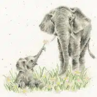 Bothy Threads XHD155 Bloom And Grow Cross Stitch KIt