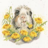 Bothy Threads XHD165 Dandy Day Cross Stitch Kit