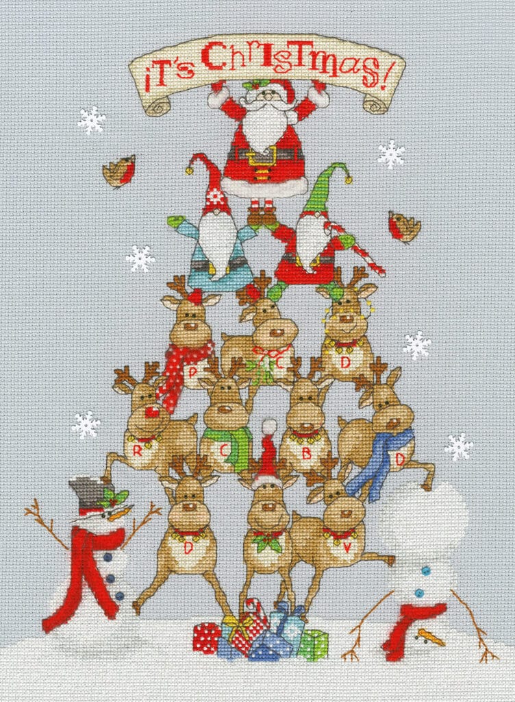 Bothy Threads XMAS31 Step Into Christmas Robin Cross Stitch Kit De