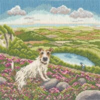 Bothy Threads XLP25 One Vet And His Dog Cross Stitch Kit