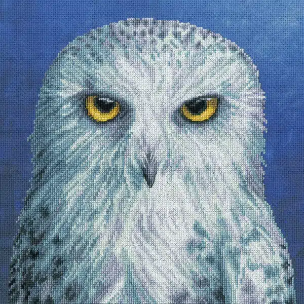 Bothy Threads XRF12 Wisdom Cross Stitch Kit