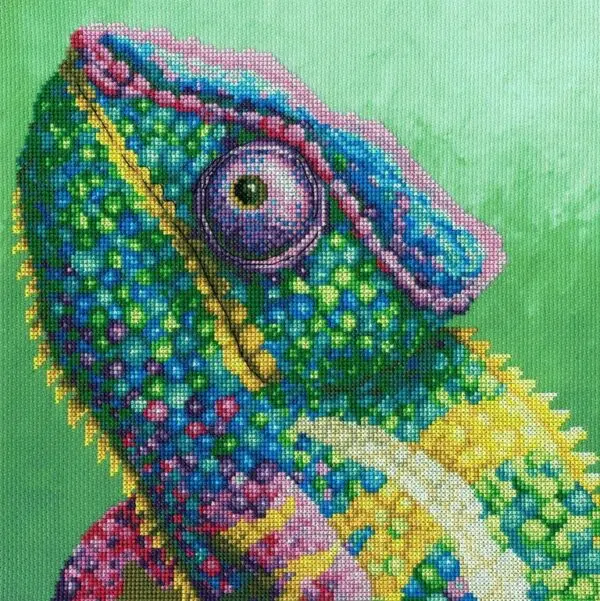 Bothy Threads XRF2 Illusion Cross Stitch Kit