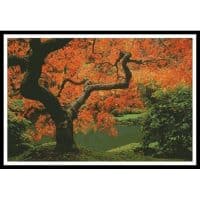 Artecy Cross Stitch Autumn Tree 10744 Cross Stitch Chart Hard Copy