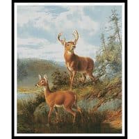 Artecy Cross Stitch Awake Raquette Lake 11163 Cross Stitch Chart Hard Copy