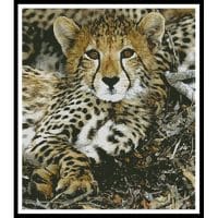 Artecy Cross Stitch Baby Cheetah 10024 Cross Stitch Chart Hard Copy