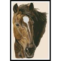 Artecy Cross Stitch Bay Horse 11081 HC Cross Stitch Chart Hard Copy