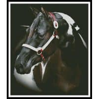 Artecy Cross Stitch Beauty in the Shadows 12522 MS Cross Stitch Chart Hard Copy