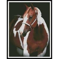 Artecy Cross Stitch Beauty in the Shadows 2 12586 MS Cross Stitch Chart Hard Copy