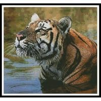 Artecy Cross Stitch Bengal Tiger 10235 Cross Stitch Chart Hard Copy