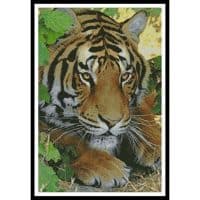 Artecy Cross Stitch Bengal Tiger 3 10183 Cross Stitch Chart Hard Copy