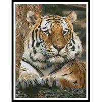 Artecy Cross Stitch Bengal Tiger 4 10384 Cross Stitch Chart Hard Copy