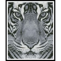 Artecy Cross Stitch Bengal Tiger Black and White 13003 Cross Stitch Chart Hard Copy