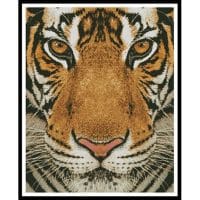 Artecy Cross Stitch Bengal Tiger Colour 13005 Cross Stitch Chart Hard Copy