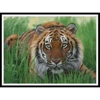 Artecy Cross Stitch Bengal Tiger in Grass 10001 Cross Stitch Chart Hard Copy