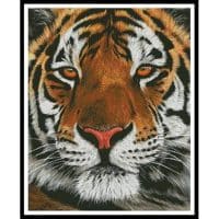 Artecy Cross Stitch Bengal Tiger Portrait 12057 MGL Cross Stitch Chart Hard Copy