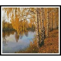 Artecy Cross Stitch Birch Tree 13483 Cross Stitch Chart Hard Copy