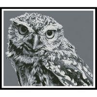Artecy Cross Stitch Black and White Owl 12685 BP Cross Stitch Chart Hard Copy