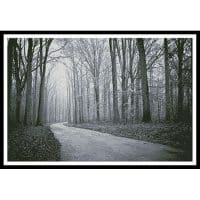 Artecy Cross Stitch Black and White Road through Trees 12611 Cross Stitch Chart Hard Copy