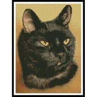 Artecy Cross Stitch Black Cat 11160 HC Cross Stitch Chart Hard Copy