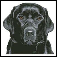 Artecy Cross Stitch Black Labrador Mini 12765 Cross Stitch Chart Hard Copy